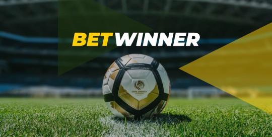 Clear And Unbiased Facts About Betwinner Casino Argentina Without All the Hype